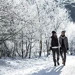 דירה The Seefeld Retreat - Family Friendly - Mountain Views *